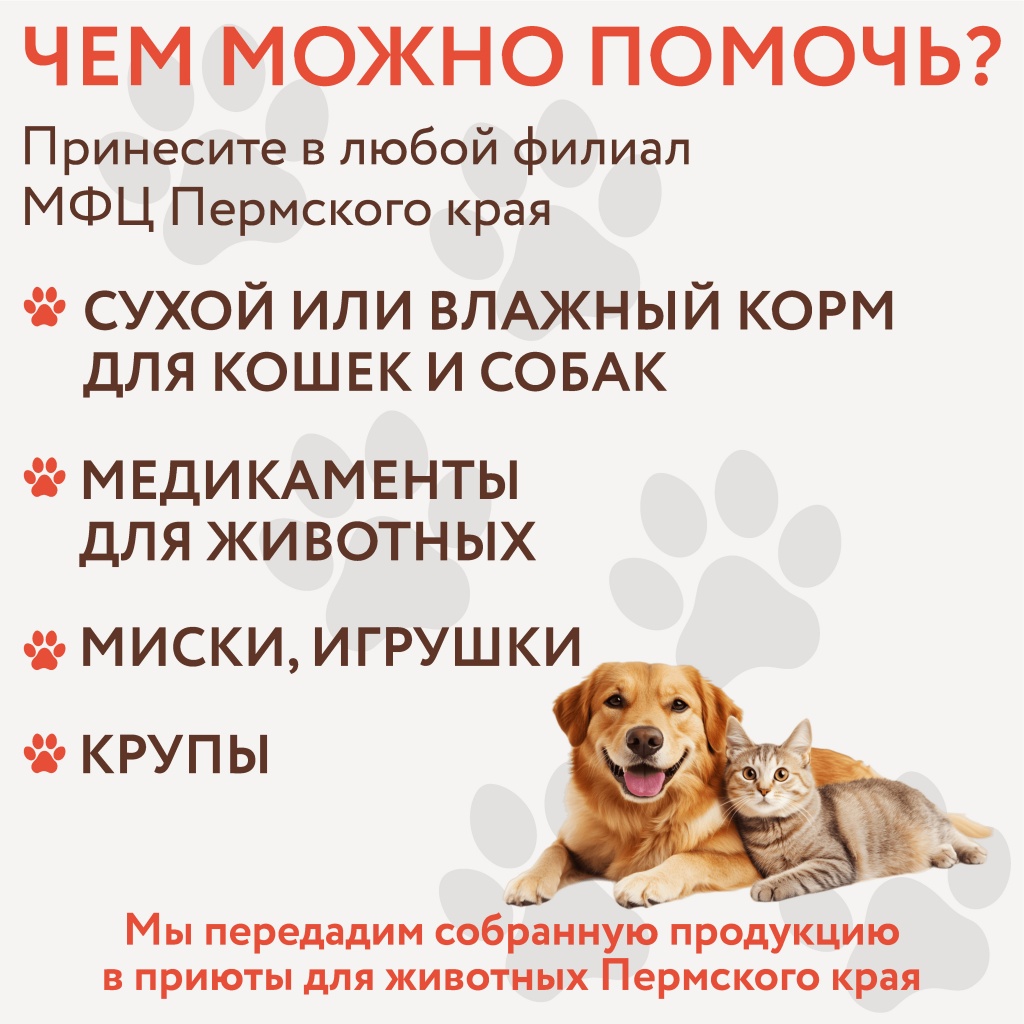 благотворителность_Page2.jpg благотворителность_Page2.jpg